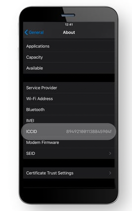 What Is an ICCID Number? | IoT Glossary